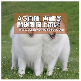 AG滚球